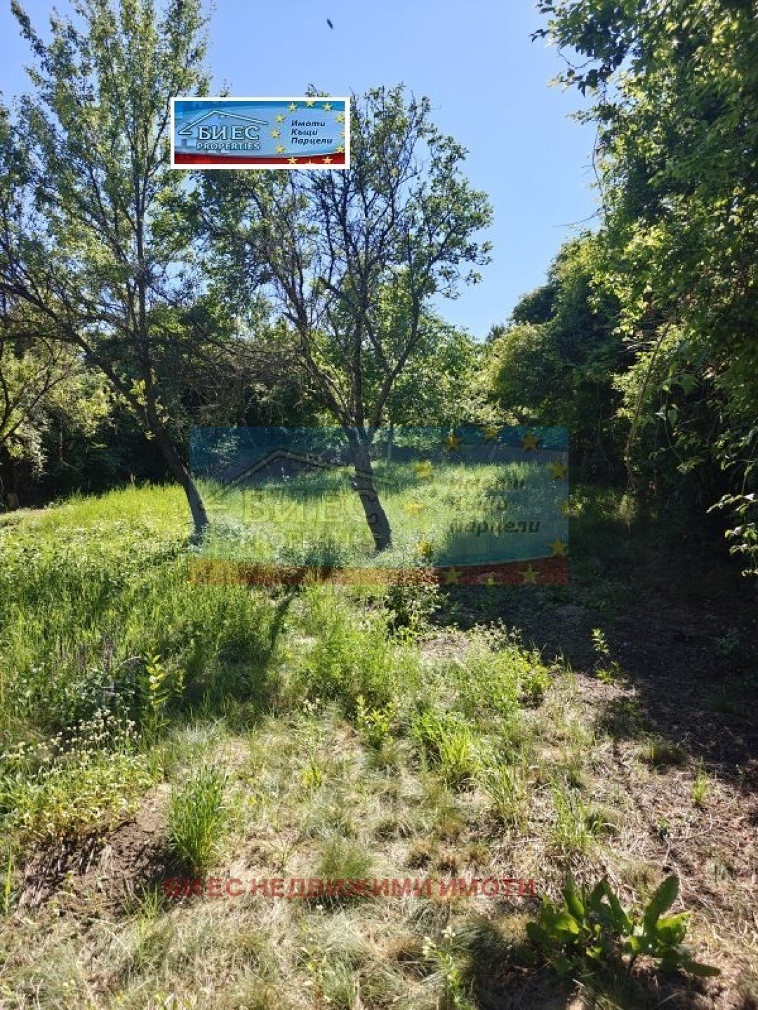 Plot in Nikolaevo - Property Details 1