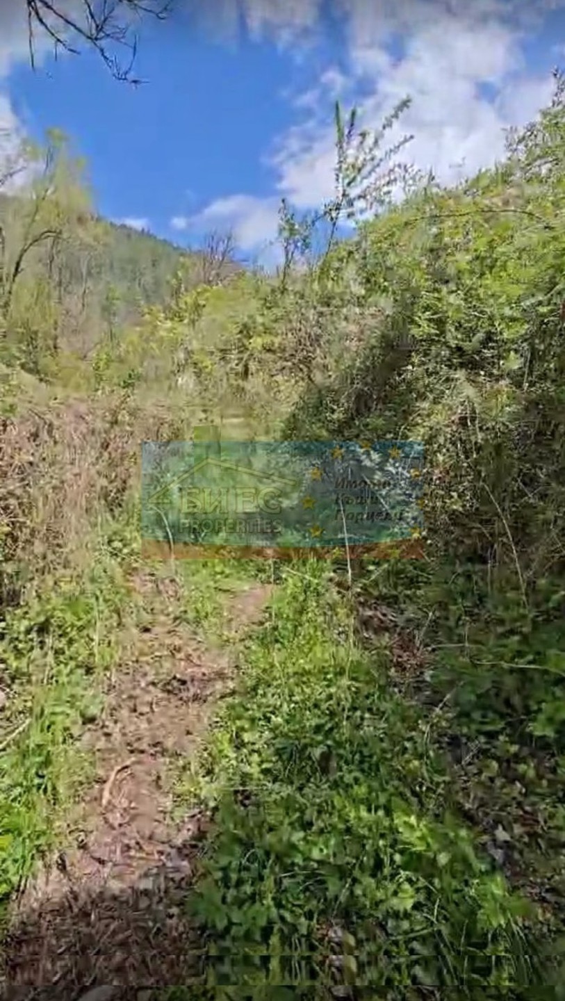 Plot in Bankya - Property Details 1