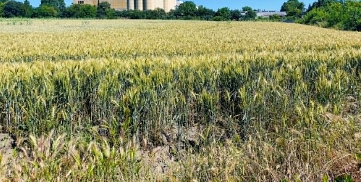 Парцел в Западна промишлена зона - Детайли за имота 1