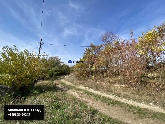 Парцел в Красен - Детайли за имота 1