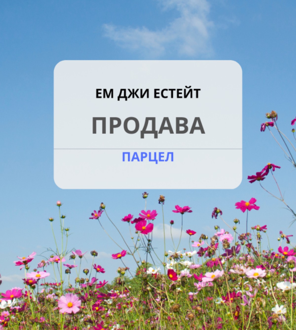 Land in Izvor - Property Details 1