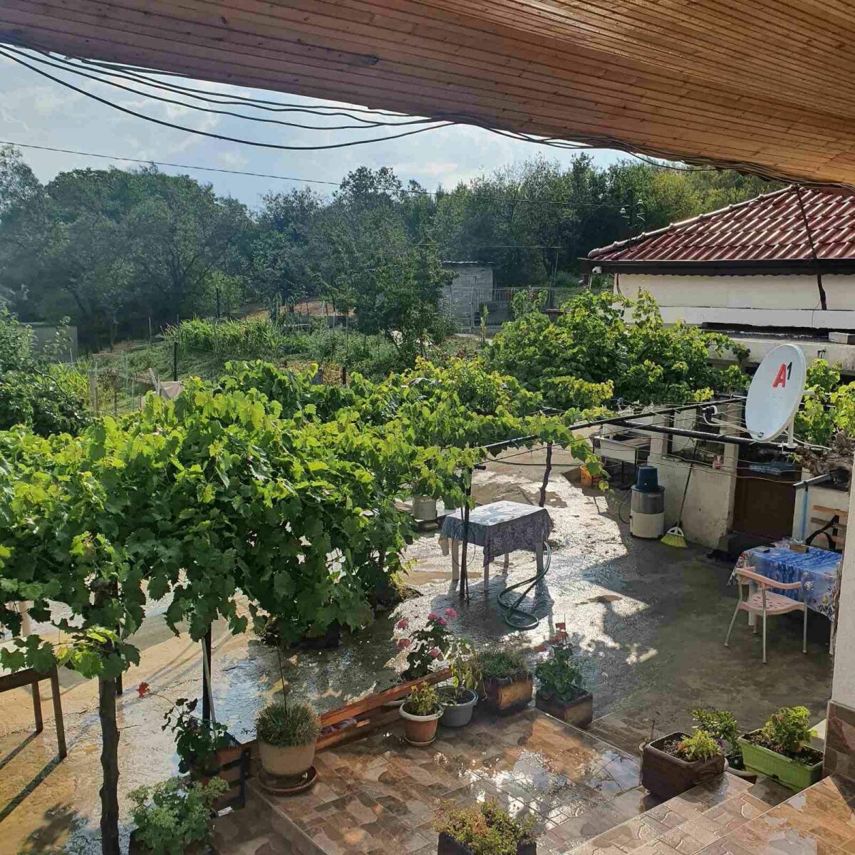 House in Kipra - Property Details 1