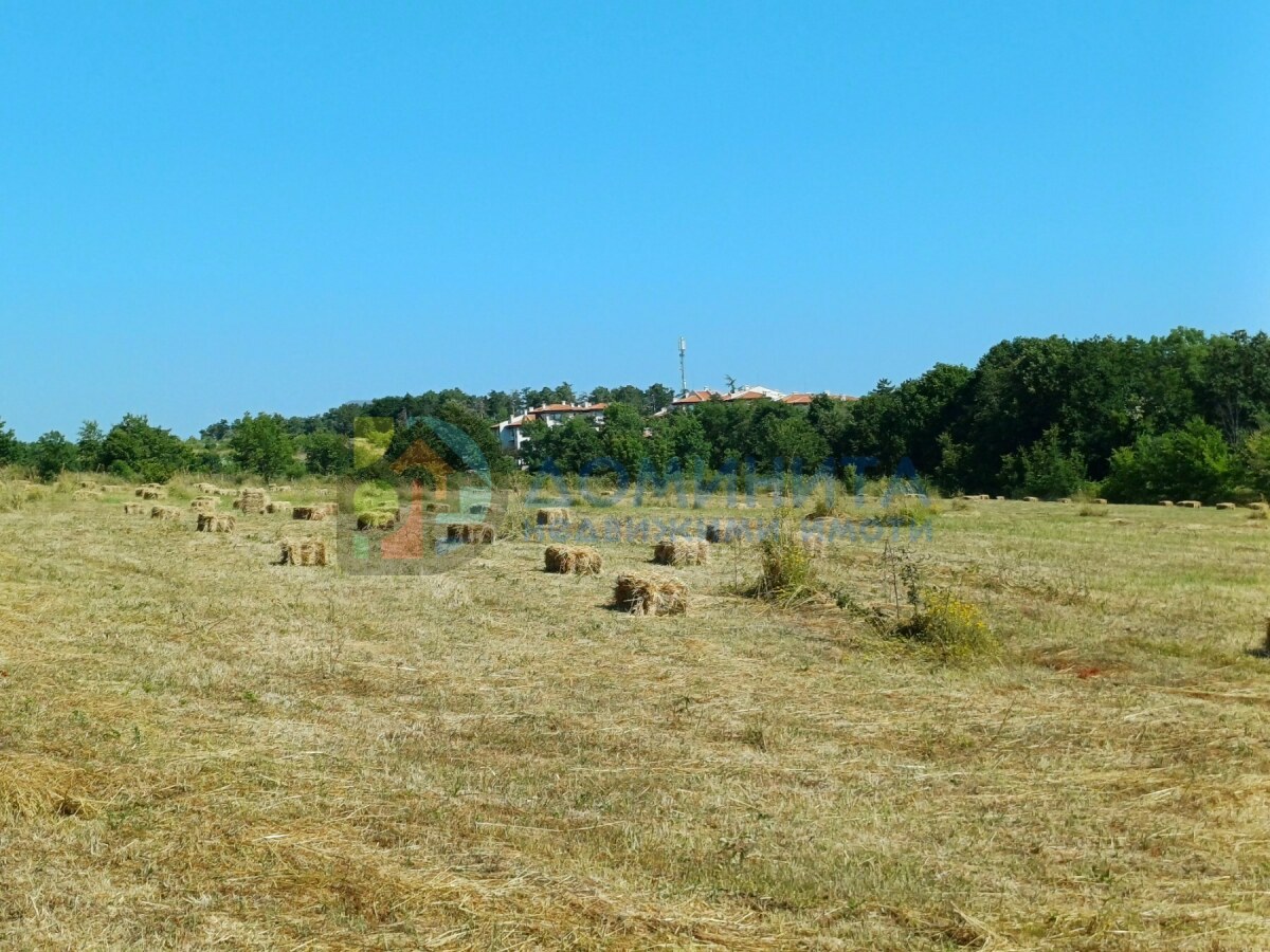 Land in Lozenets - Property Details 1
