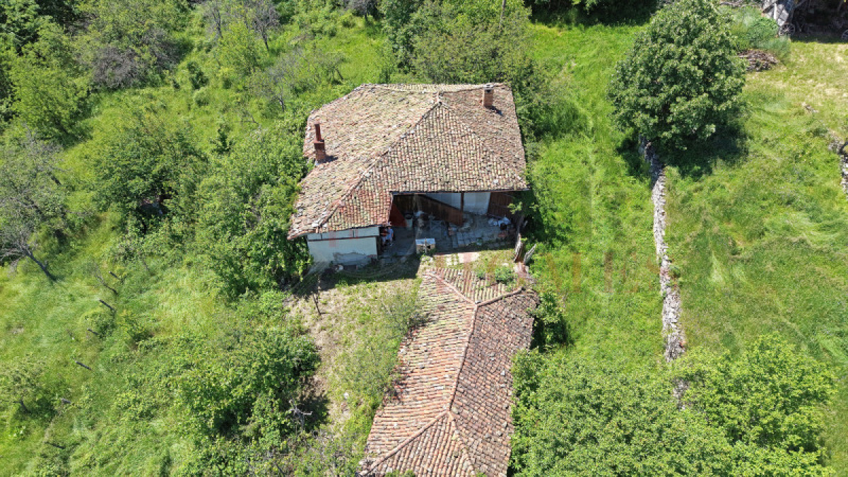  Badevtsi, Veliko Tarnovo