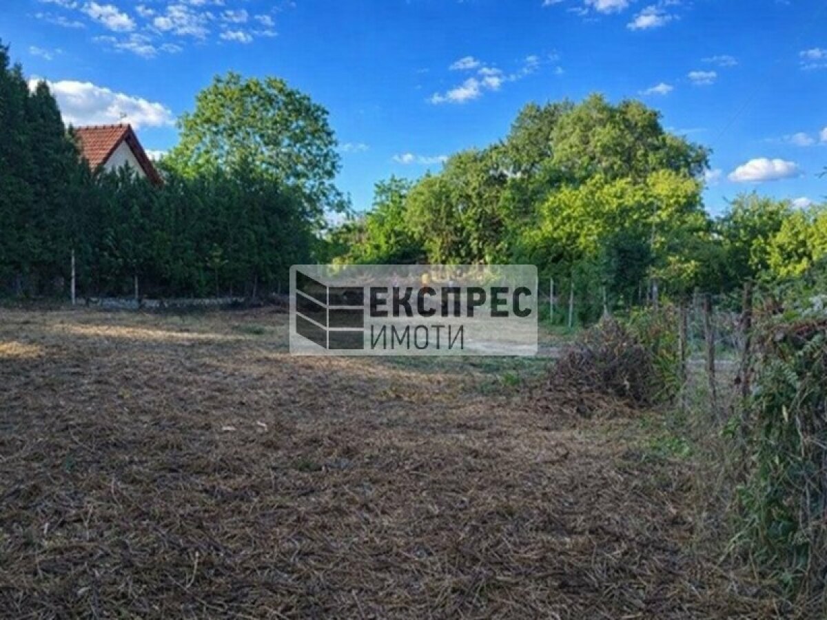  Ален мак, Варна
